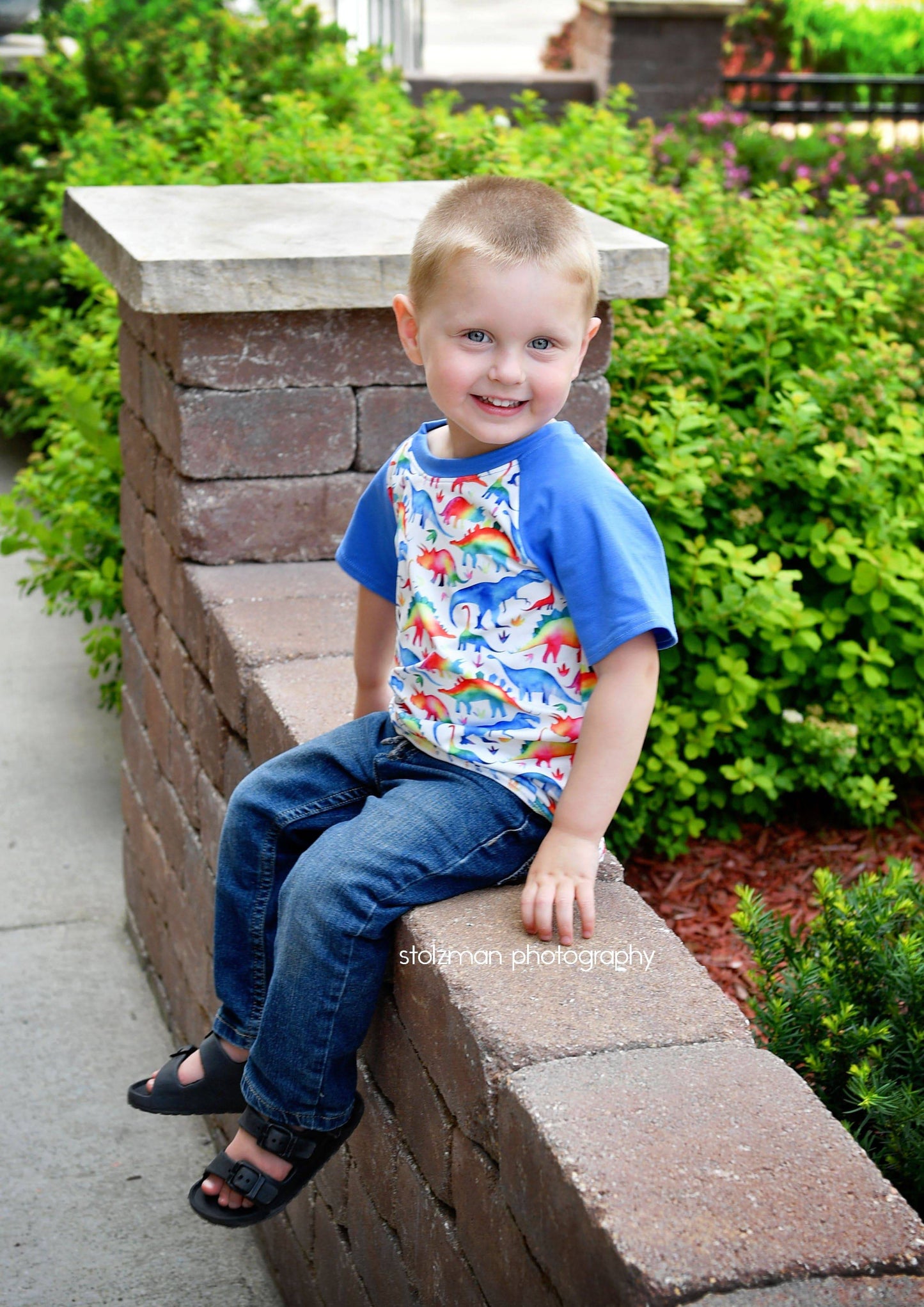 Pastel Dinosaur Milk Silk Raglan