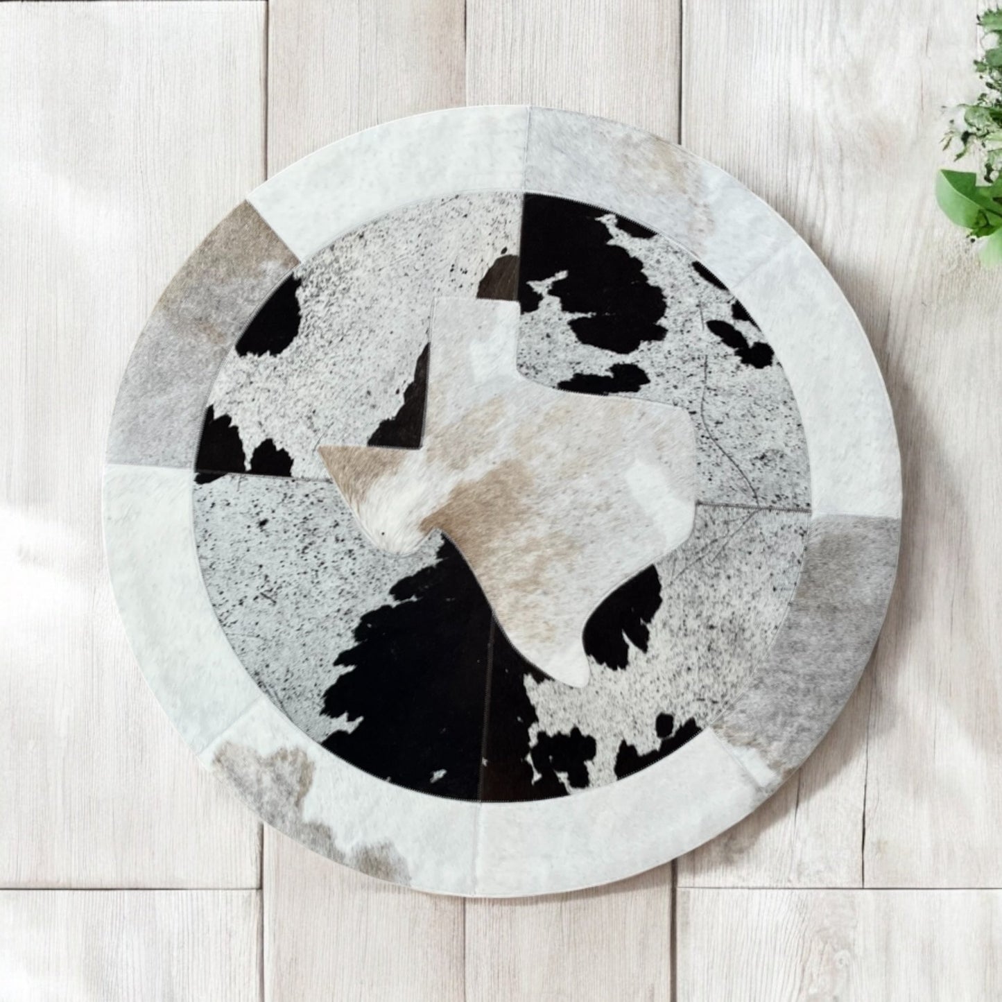 Texas cowhide Rug