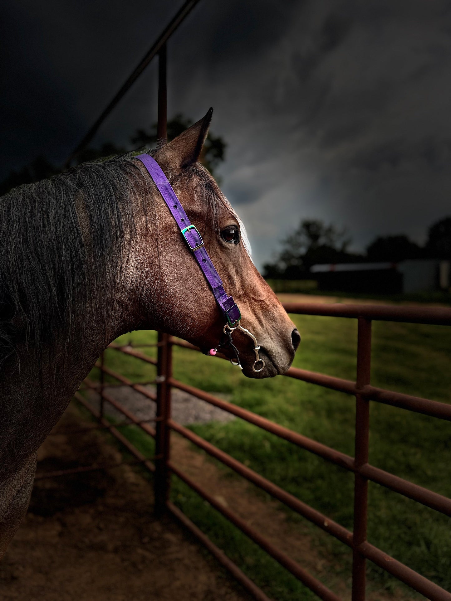 One Ear Nylon Headstall
