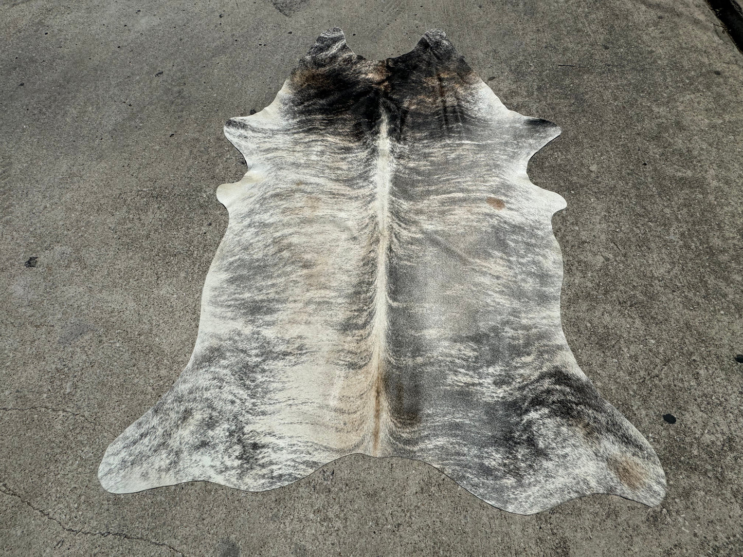 Exotic Grey Brindle Cowhide