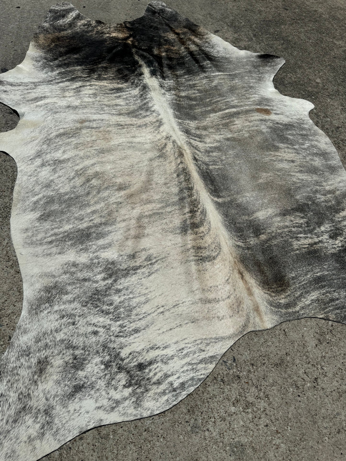 Exotic Grey Brindle Cowhide