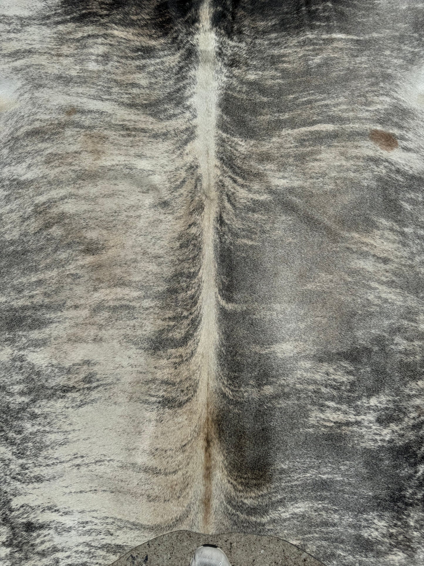 Exotic Grey Brindle Cowhide