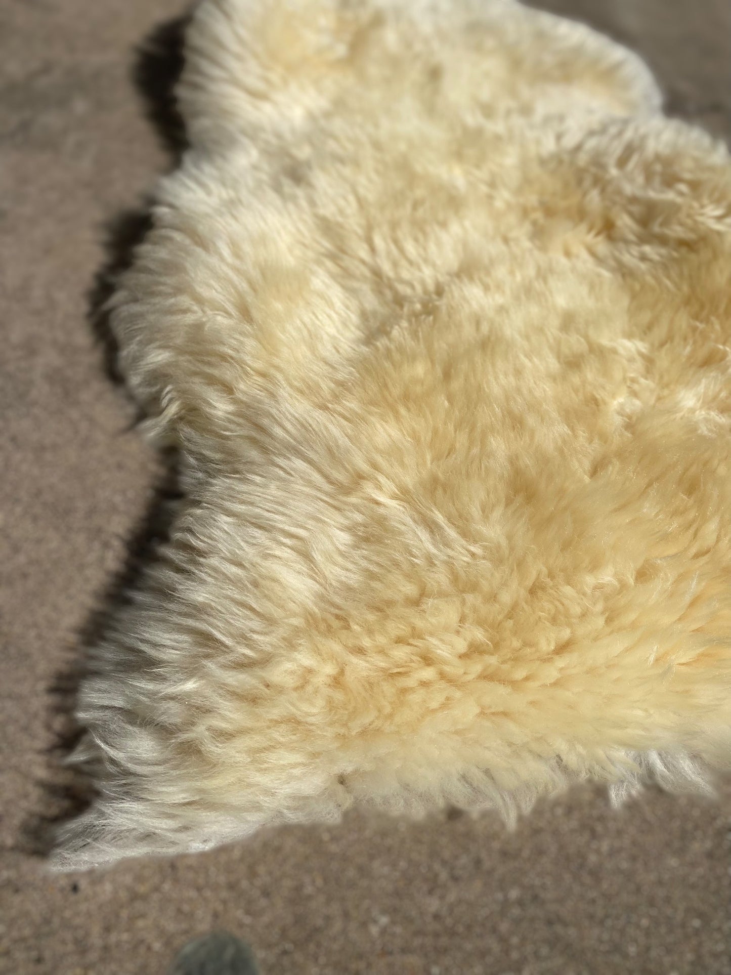 Sheepskin Rug - White