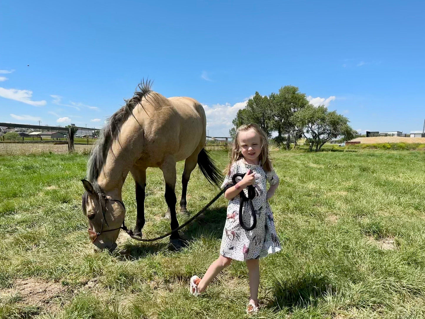Girls' Horse Dress, Horse Girl Era