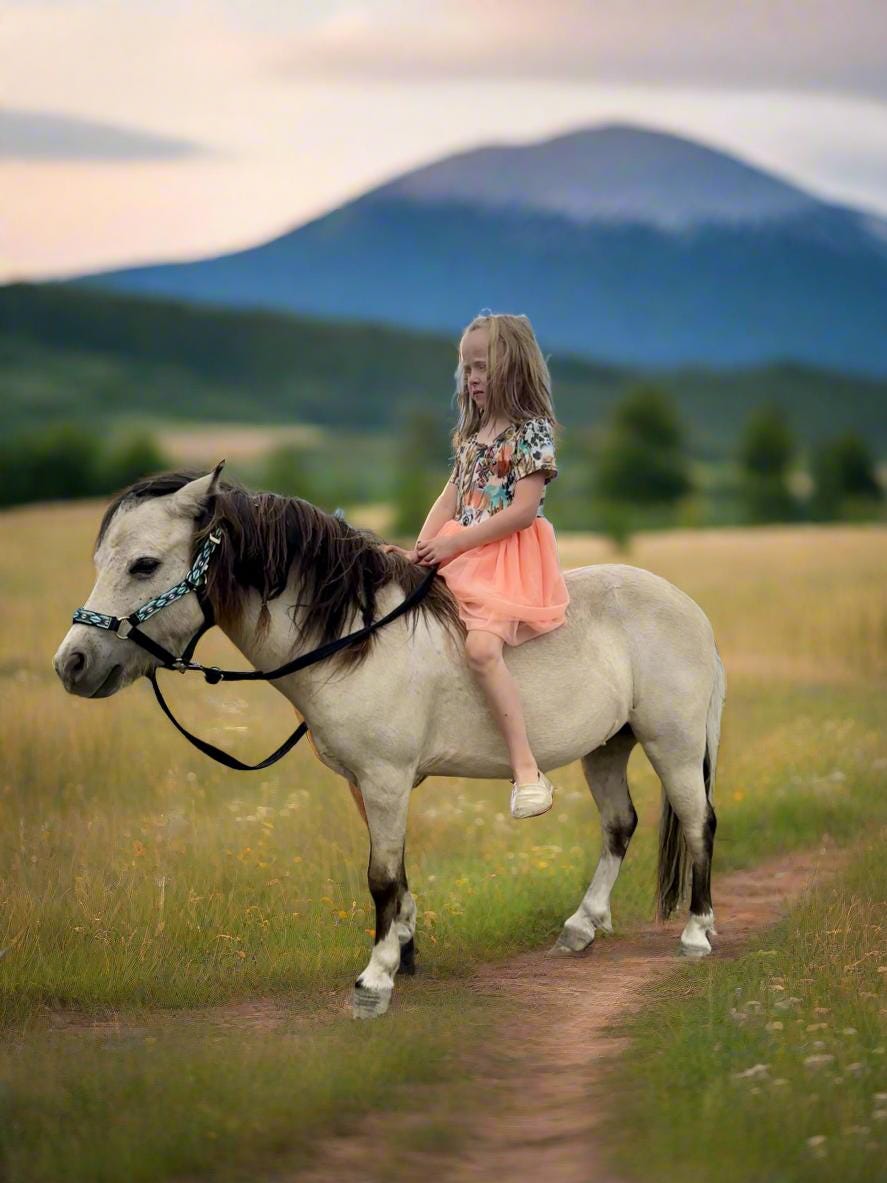 Western Party Dress for Girls, TUTU Cowgirl Outfit