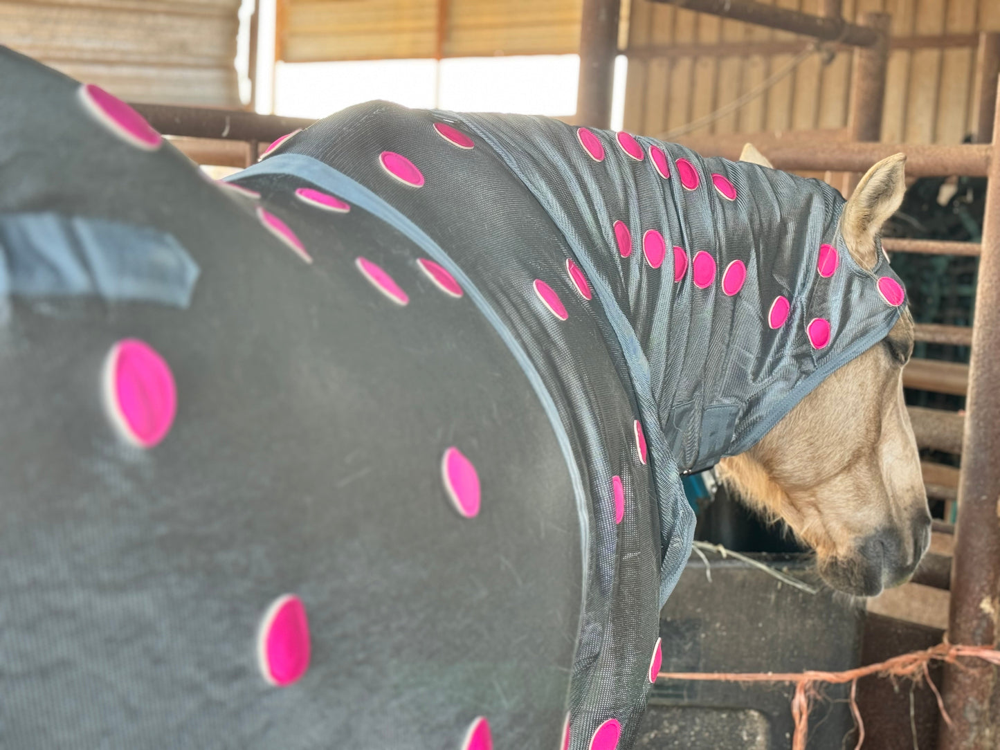 Far Infrared Magnetic Sheet