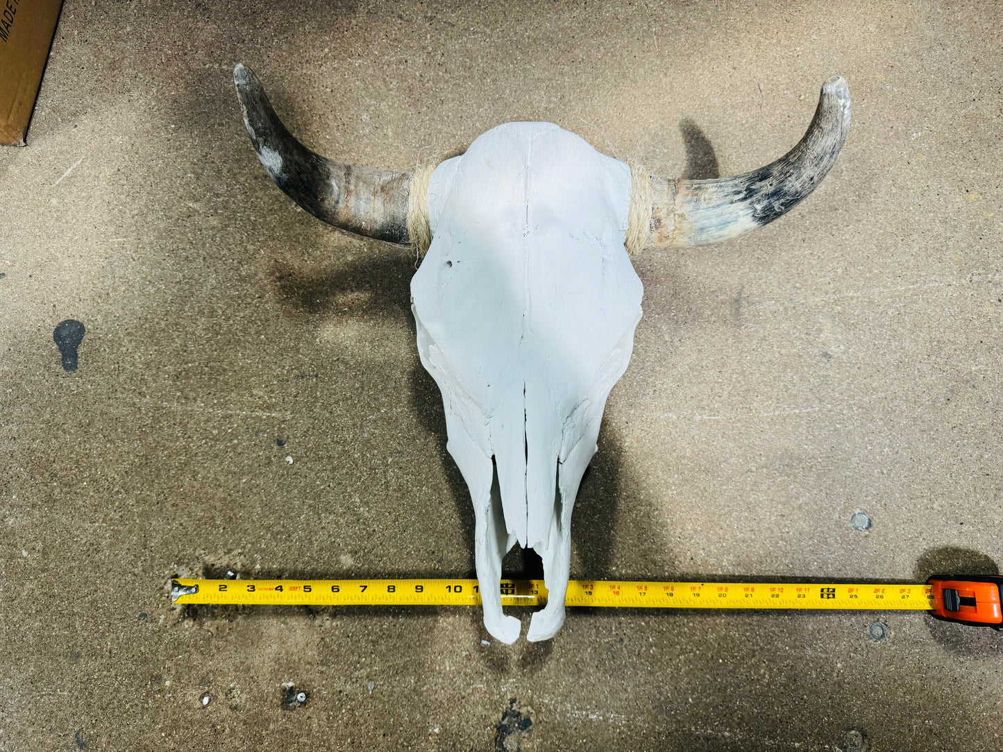Small Rustic Skull