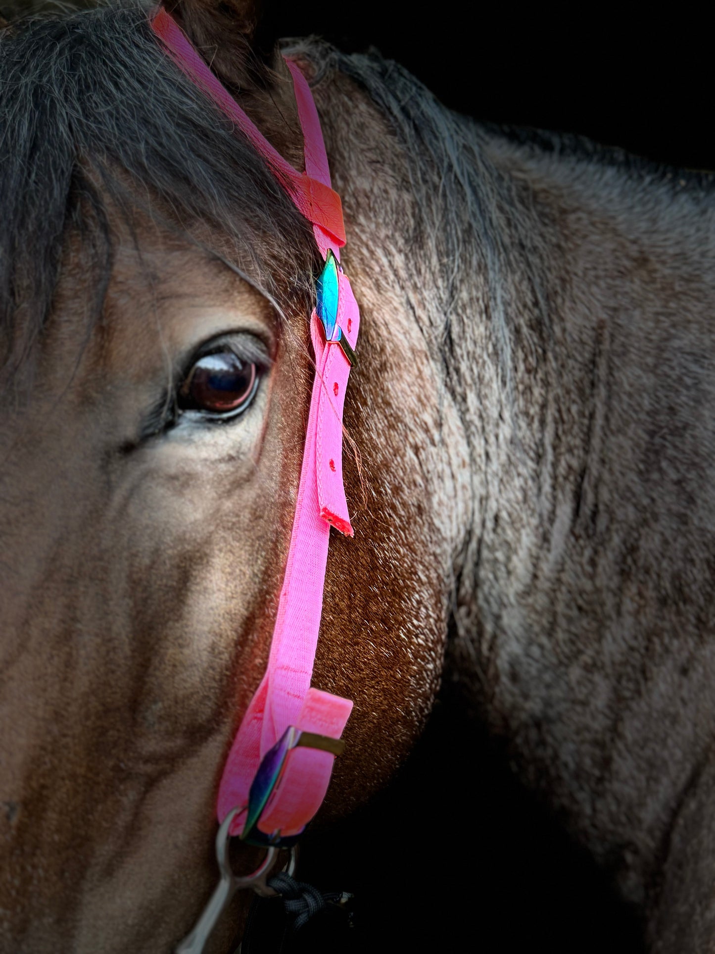 One Ear Nylon Headstall