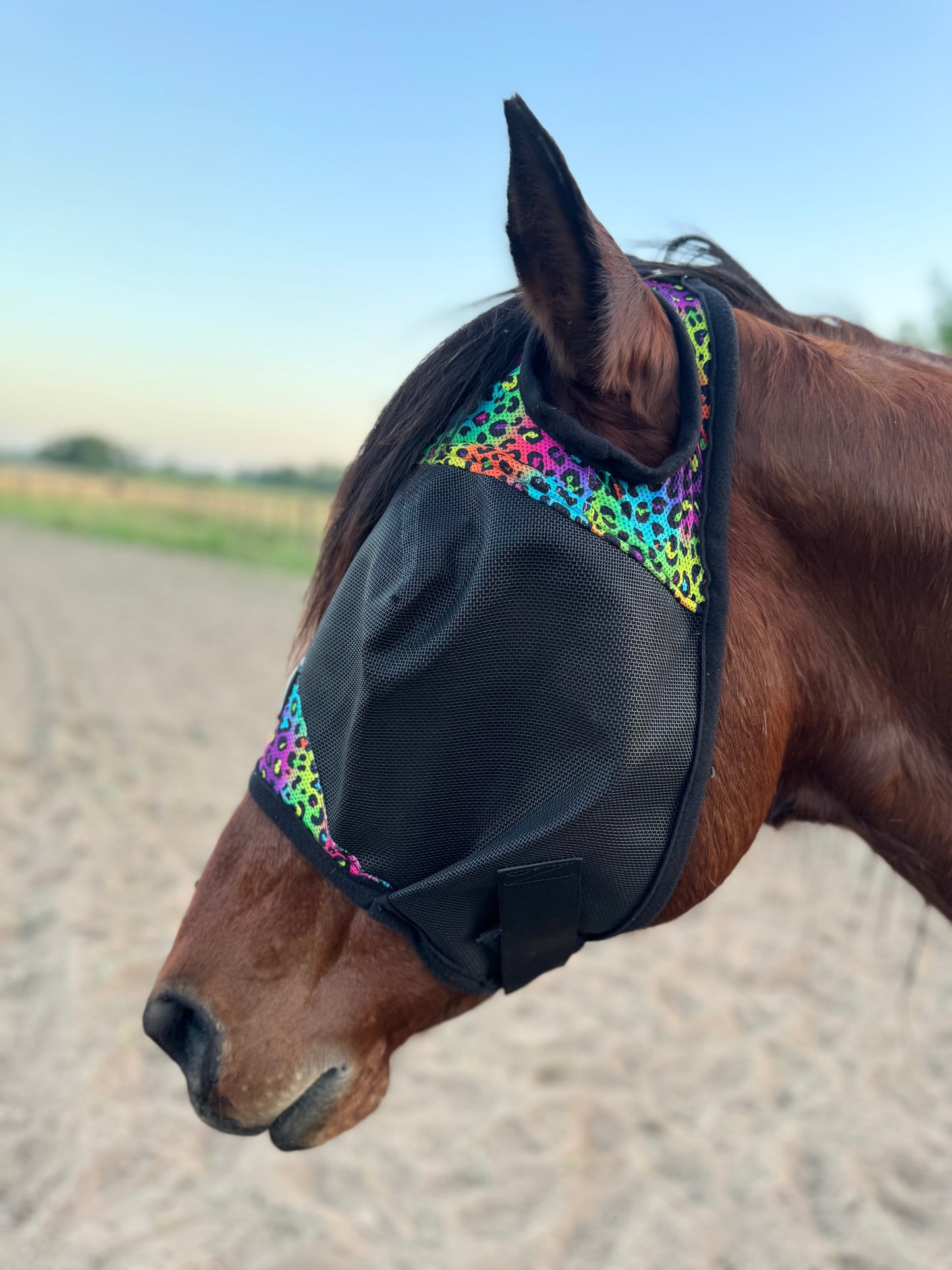 Fly Mask