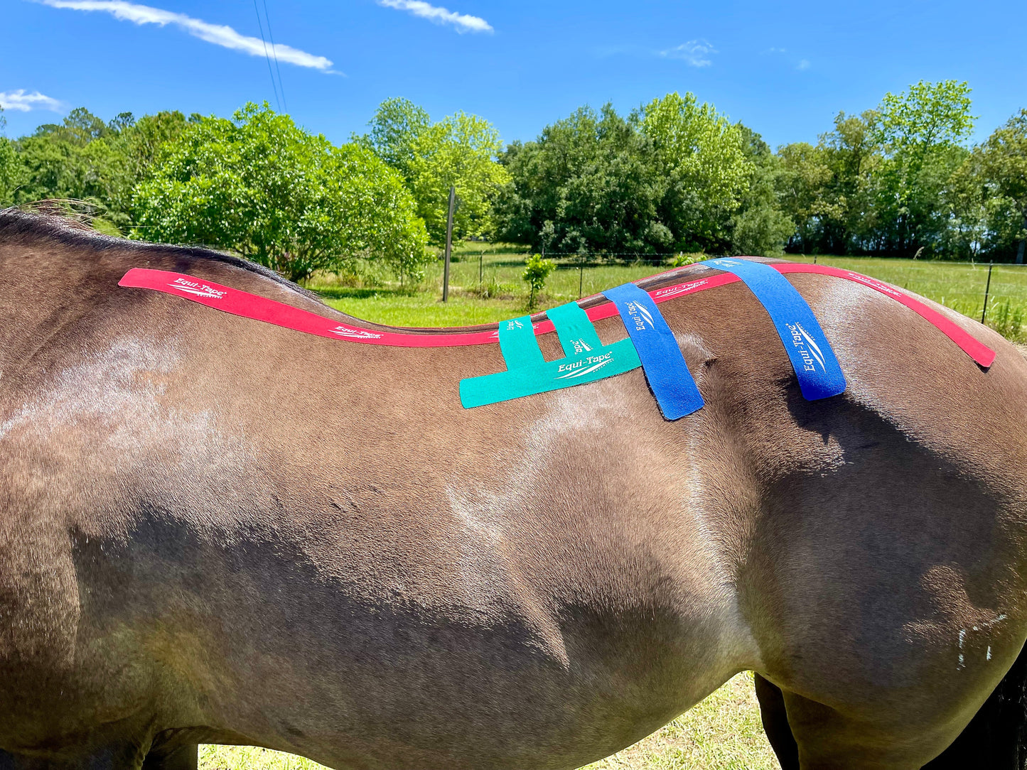 Equi-Tape® Advanced Education Package