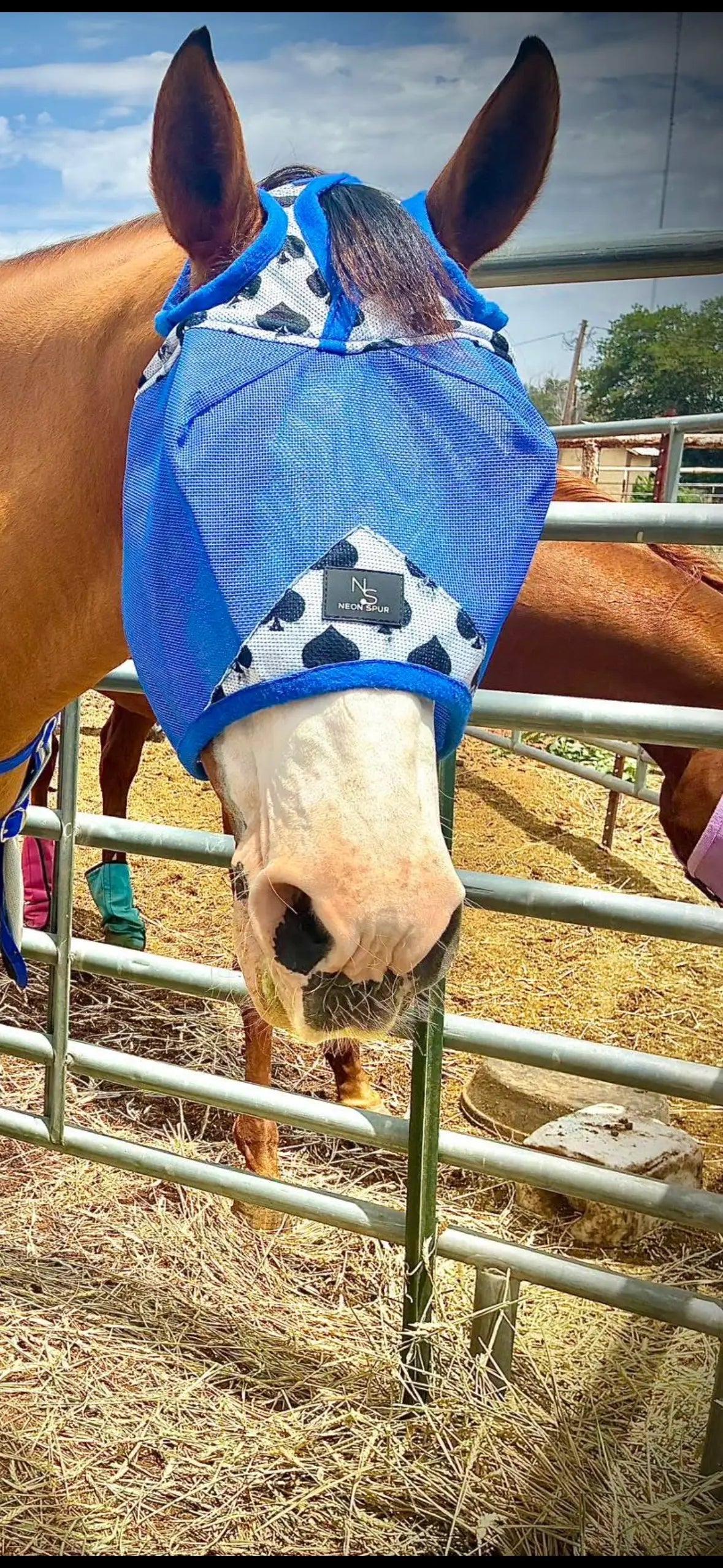 Smokin Spades Fly Mask - Royal Blue Mesh