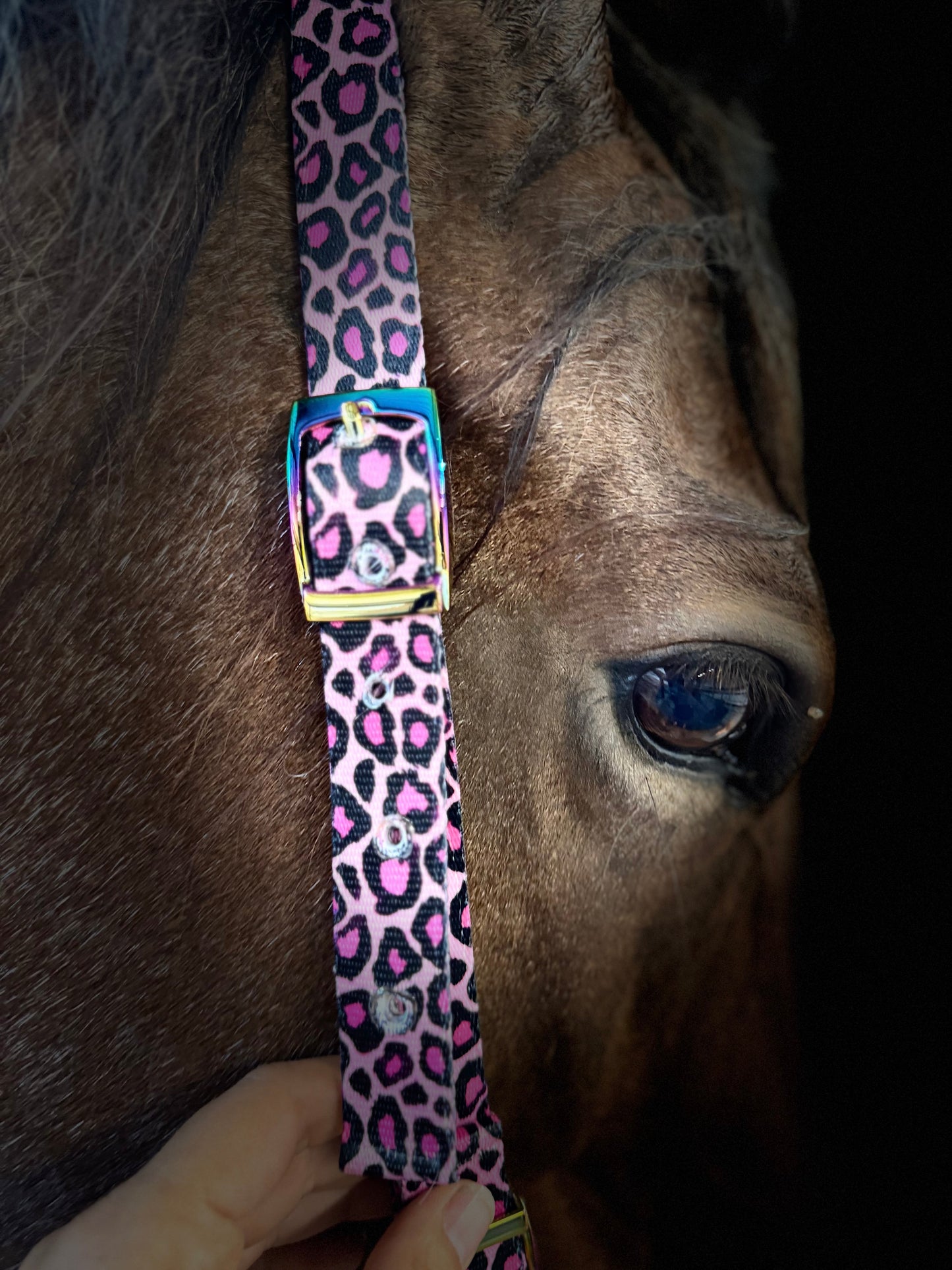 One Ear Nylon Headstall