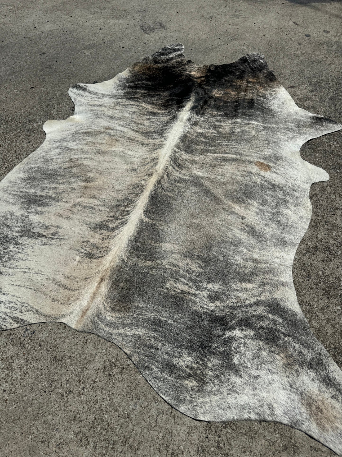 Exotic Grey Brindle Cowhide