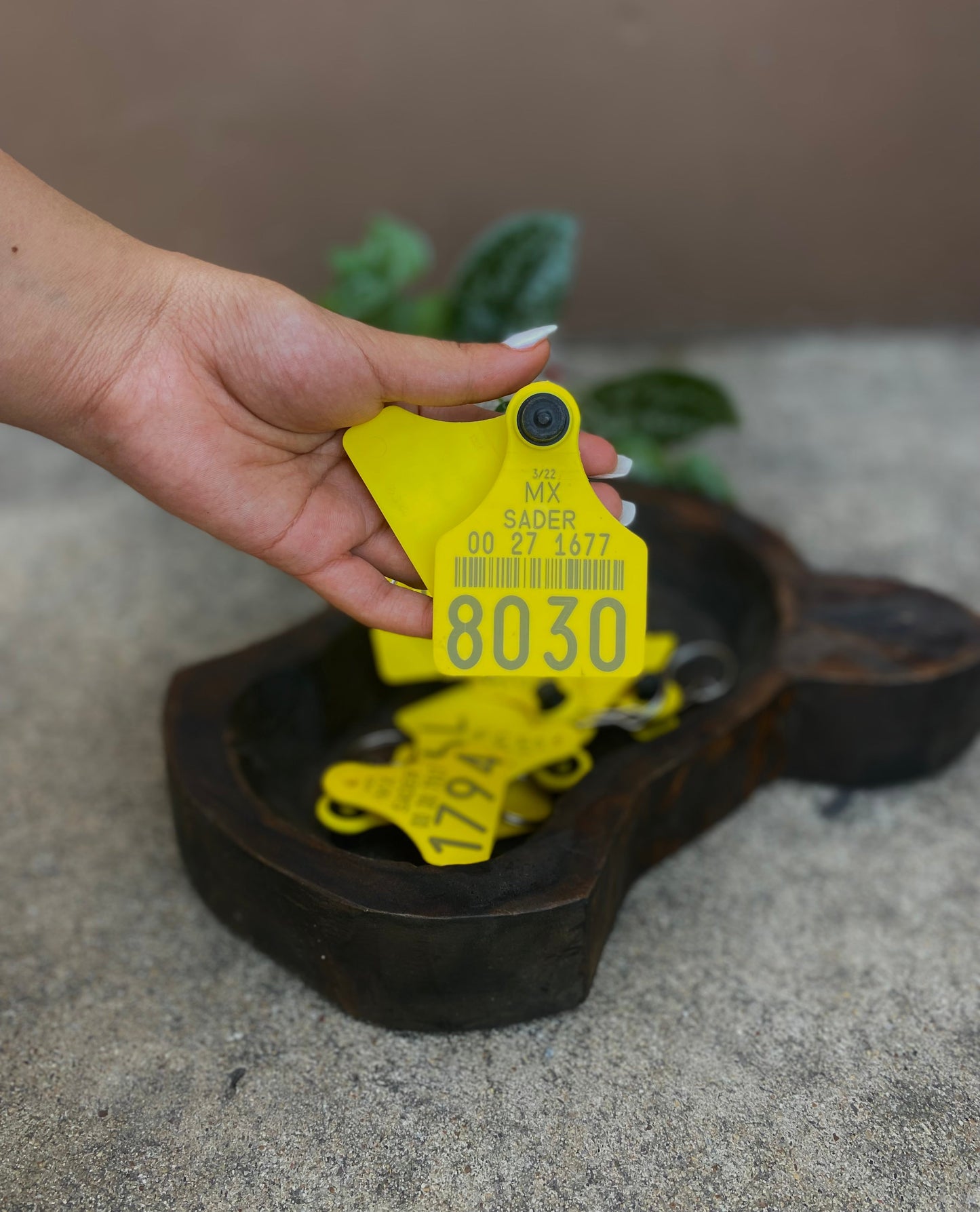 Cowtag Keychain