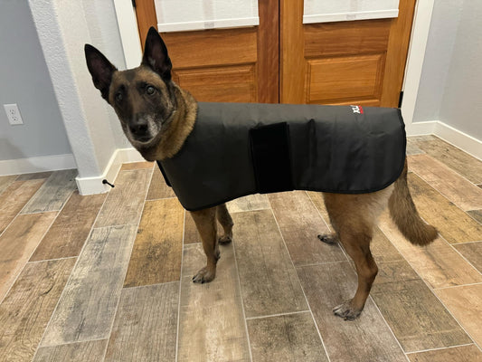 Redline Dog Wrap- Large