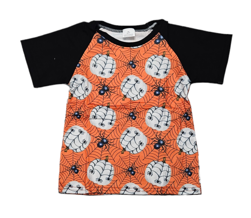 Spiderwebs And Pumpkins Milk Silk Raglan
