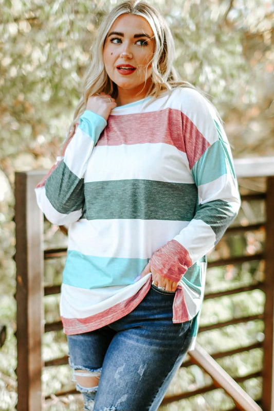 Plus Size Colorblock Pullover