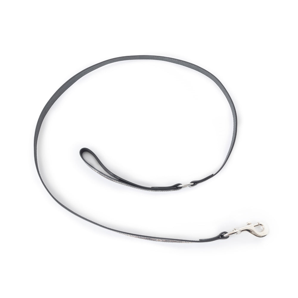 Clairmonte Dog Leash In Black