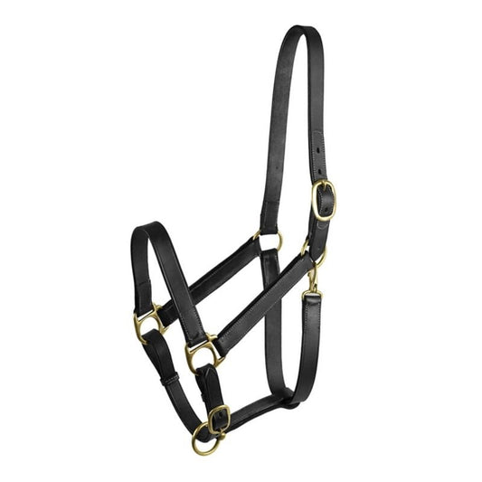 Gatsby Adj Turnout Halter with Snap