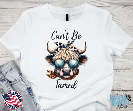 Can't Be Tamed – Multi