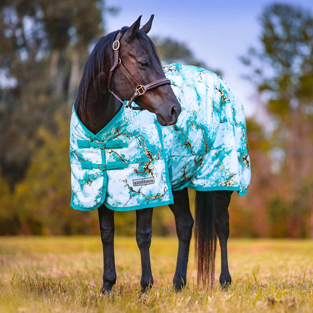 Jeffers Expression 1200D Draft Horse Turnout Blanket, 240 g | Waterproof, Breathable & Safe Design