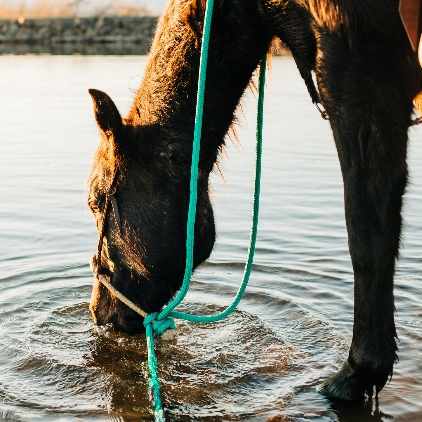 22 Ft Clinician Mecate Reins